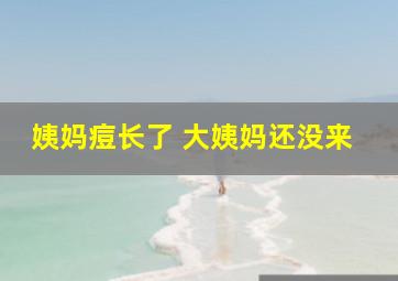 姨妈痘长了 大姨妈还没来